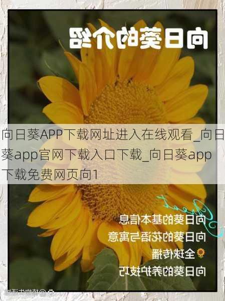 向日葵APP下载网址进入在线观看_向日葵app官网下载入口下载_向日葵app下载免费网页向1